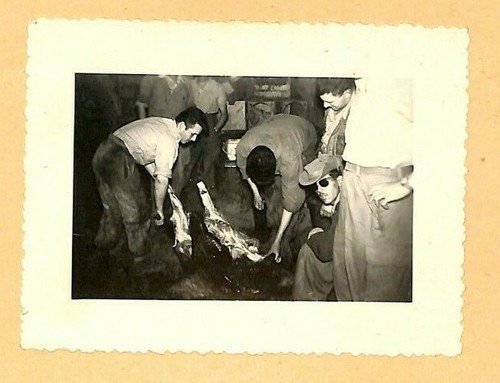 Guerre algerie photo - d',