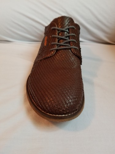 295 bacco bucci - bacco,