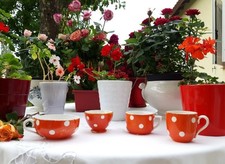 3 tasses et 1 petit bol Digoin