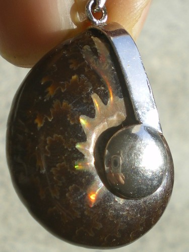 Pendentif fossile ammonite - pendentif,