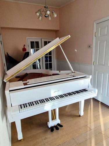 Ritmuller high gloss - , white