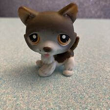 Littlest PetShop Chien Husky #174 Pet Shop-LPS-
