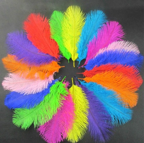 10pcs plumes autruche 8 - 10pcs, 6-8