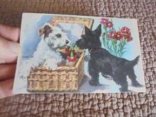 Illustrée EDE Petits Chiens