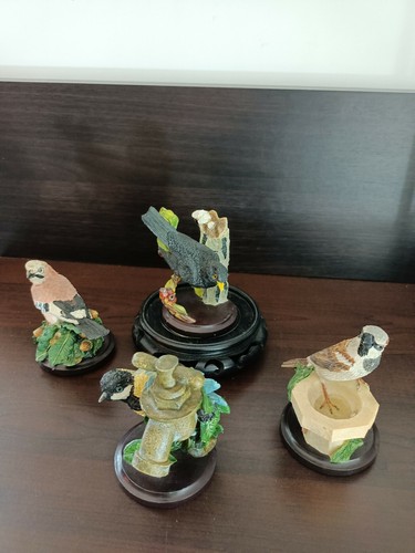 The country bird collection - bird, collection"