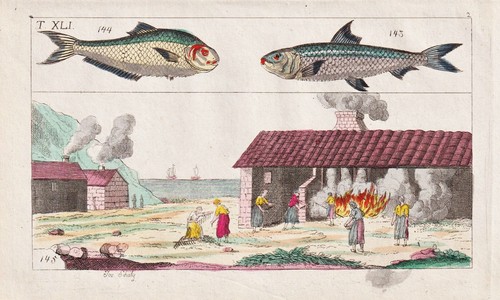 Estampe cuivre pêche - en,