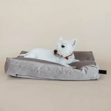 Kentucky Dogwear coussin pour