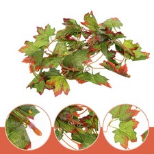  Accessoire Terrarium Décoration Pour Plants De Décorations Terrariums