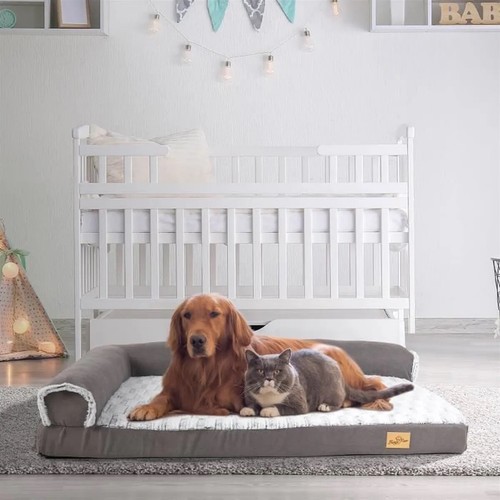 Lit pour chien orthopédique - chien,