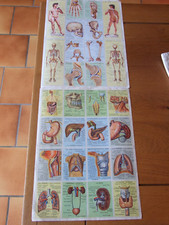 PARIS LOT DE 2 PLANCHES D IMAGES DECHAUX ARNAUD LE CORP HUMAIN