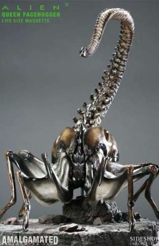Sideshow alien facehugger - alien,