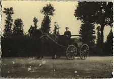 PHOTO ANCIENNE - VINTAGE SNAPSHOT - ANIMAL CHEVAL ATTELAGE CALÈCHE FIACRE -HORSE