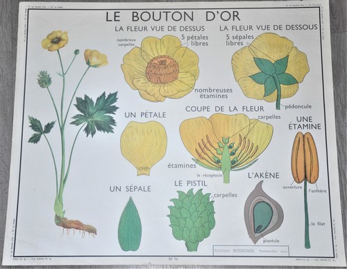 Ancienne affiche pédagogique
