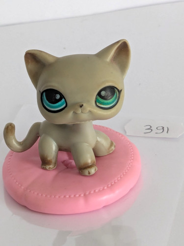 Authentique petshop chat - petshop,