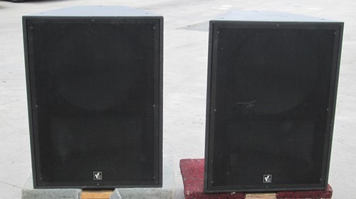 Tannoy net dual 12 - 60, 12"
