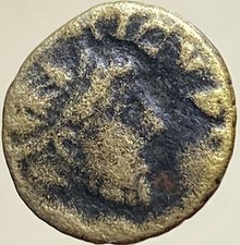 Barbarous Minimi Genuine