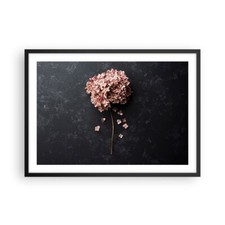 Affiche Poster 70x50cm