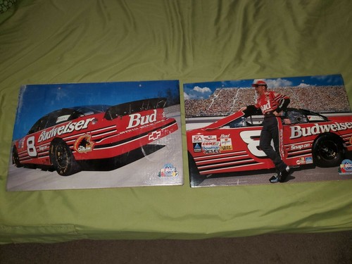 New dale earnhardt 8 - jr, bud