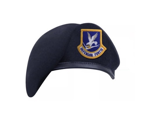 Usaf defensor fortis - fortis, wings