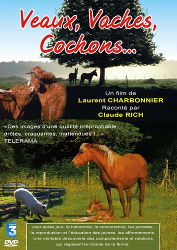 Dvd veaux vaches cochons - vaches,, cochons…