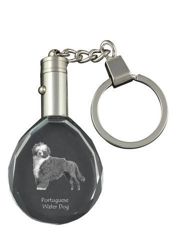 Chien eau portugais - chien,
