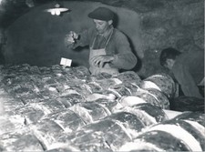 ROQUEFORT SUR SOULZON c. 1960