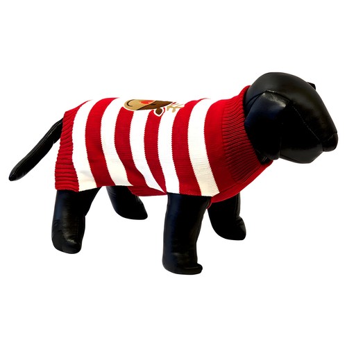 Pull pour chien - pull,