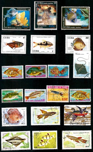 Tous pays poissons sea fish - pays,