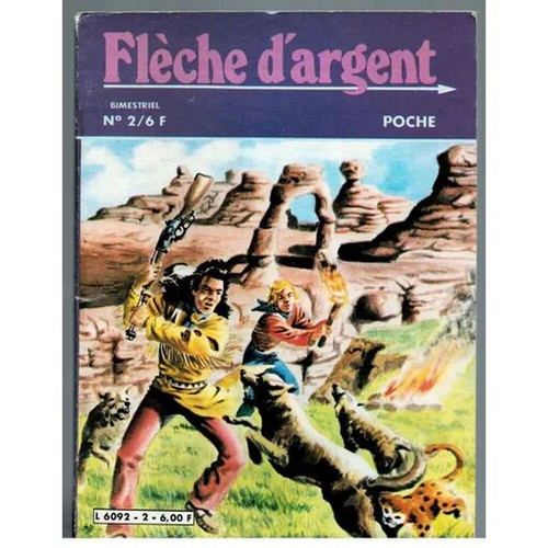 Fleche argent poche - d'argent, |