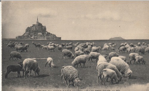 Carte postale ancienne - , le