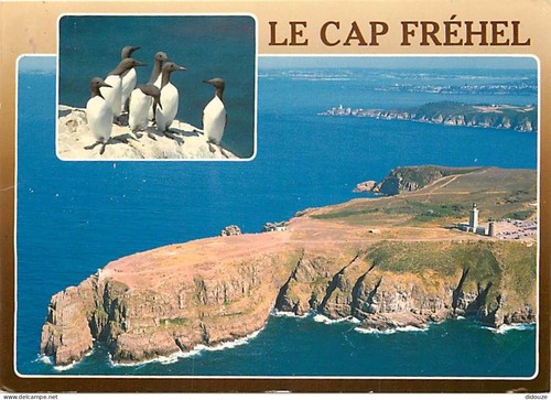 Carte postale le cap - carte,