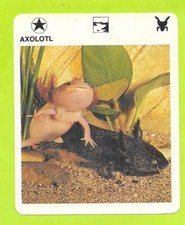 Fiche - Le livre de Paris - 1975 - Axolotl