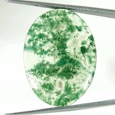 27.00Cts Vert Naturel Mousse Agate Ovale Cabochon Ample Gemme 24x32x4mm