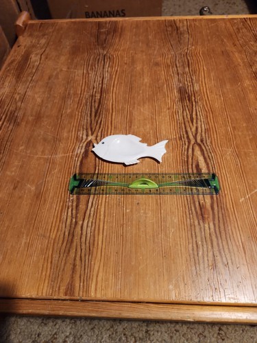 Très joli poisson artisanal - très,