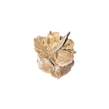 Pierres brutes Rose des sables