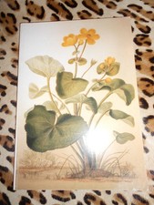 AILLAUD, HAZZAN, LEMORDANT 