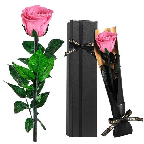 Rose eternelle préservée - rose,