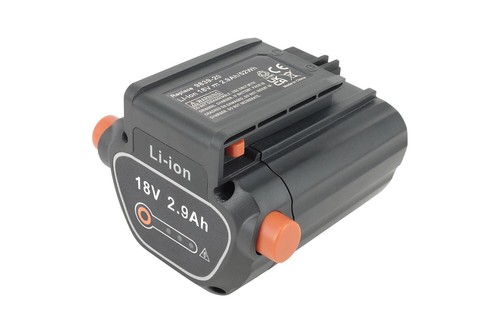 2900mah batterie pour - 2900mah,