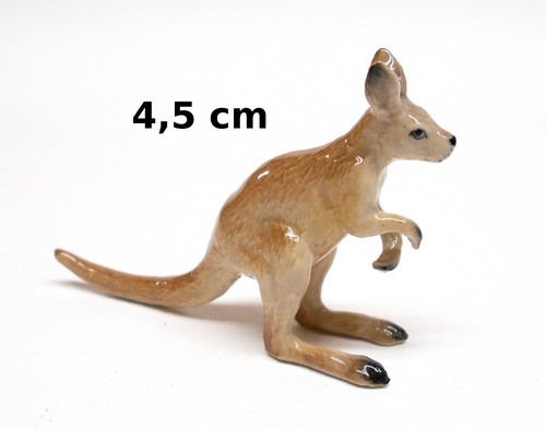 Kangourou miniature - kangourou, en