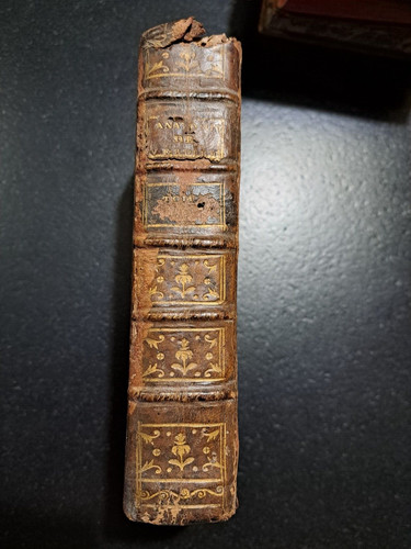 Abrégé anatomie du - l'anatomie,