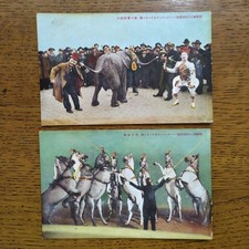 Carte postale ancienne d'avant-guerre Hagenpeck cirque éléphant jouant...