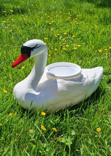 Statue cygne flottant avec - statue,