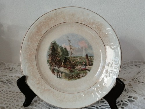 Assiette très ancienne terre - assiette,