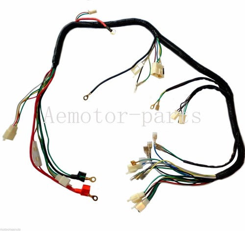 Quad wiring harness - harness, 250