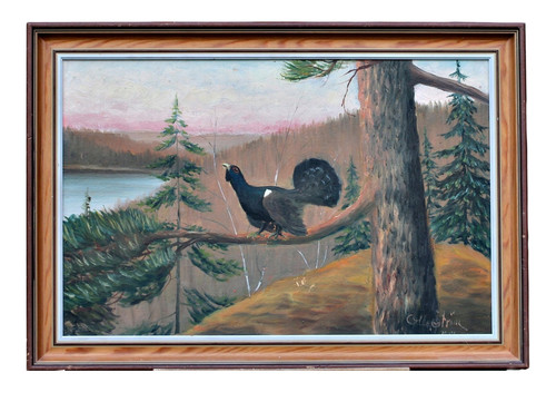 Paysage wald avec tétras lyre - avec,