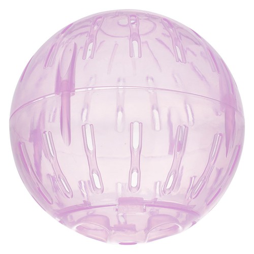 Roue course pour - de, hamster