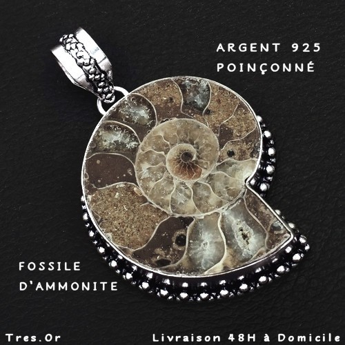 Ammonite fossile argent 925 - fossile,