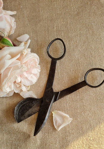 Ancien ciseau mouchette - ancien,