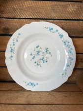 Grand plat rond Arcopal