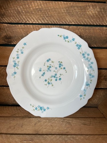 Grand plat rond arcopal - plat,